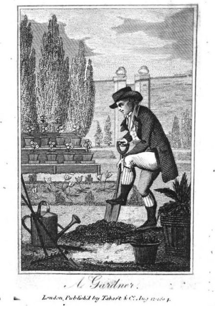 Regency Economy: The Gardener – Regency Reader