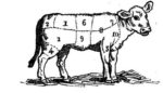 joints of veal diagram